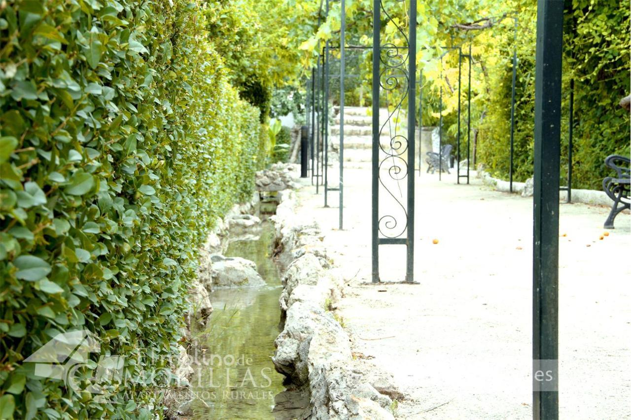 Apartamentos Rurales El Molino De Morillas Galera Εξωτερικό φωτογραφία