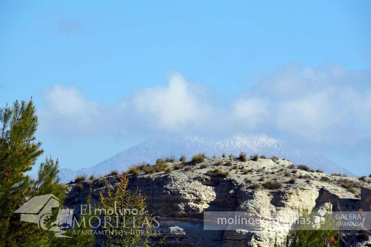 Apartamentos Rurales El Molino De Morillas Galera Εξωτερικό φωτογραφία